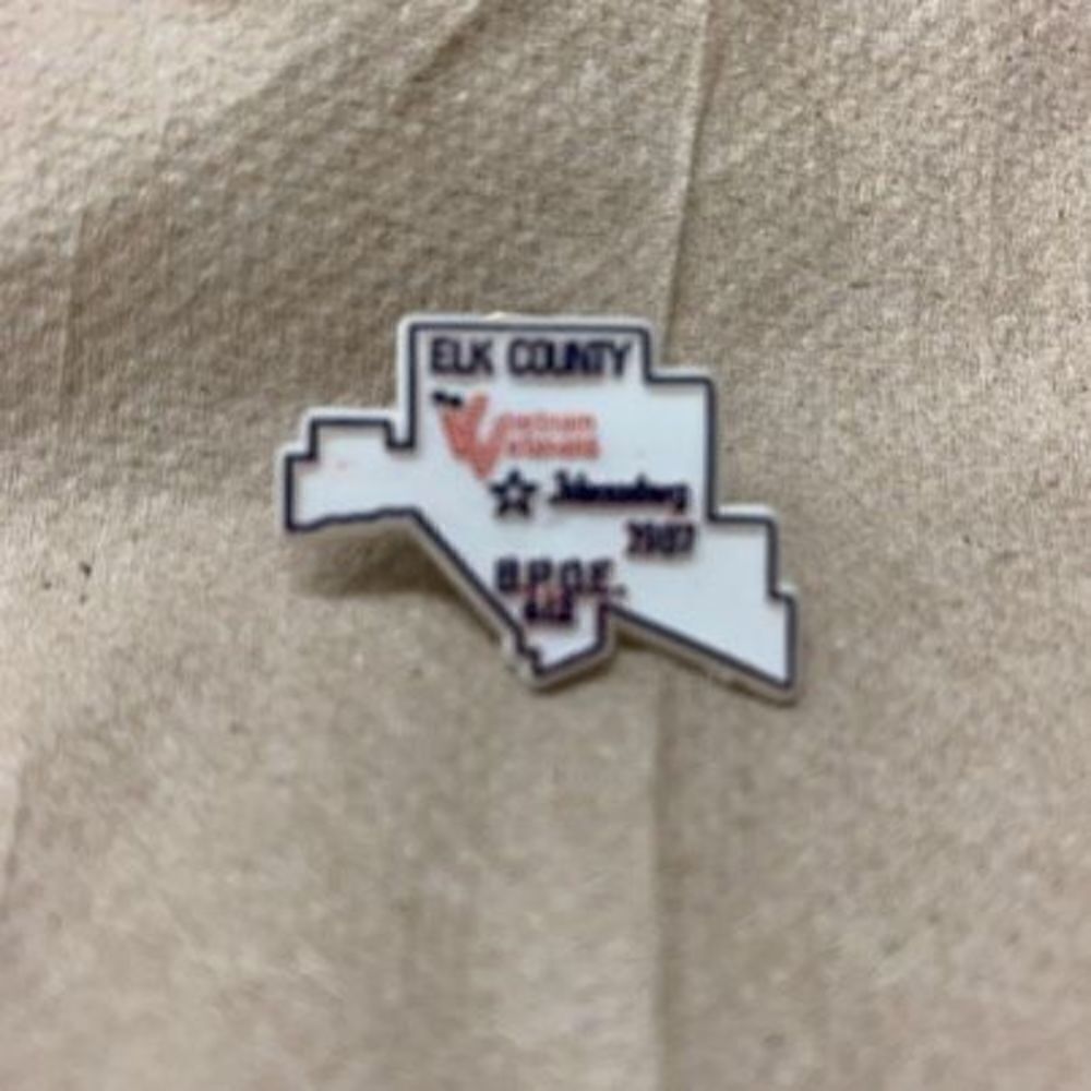 Elk County Viet Nam Veterans Johnsonburg PA BPOE 612 Vintage Lapel Pin
